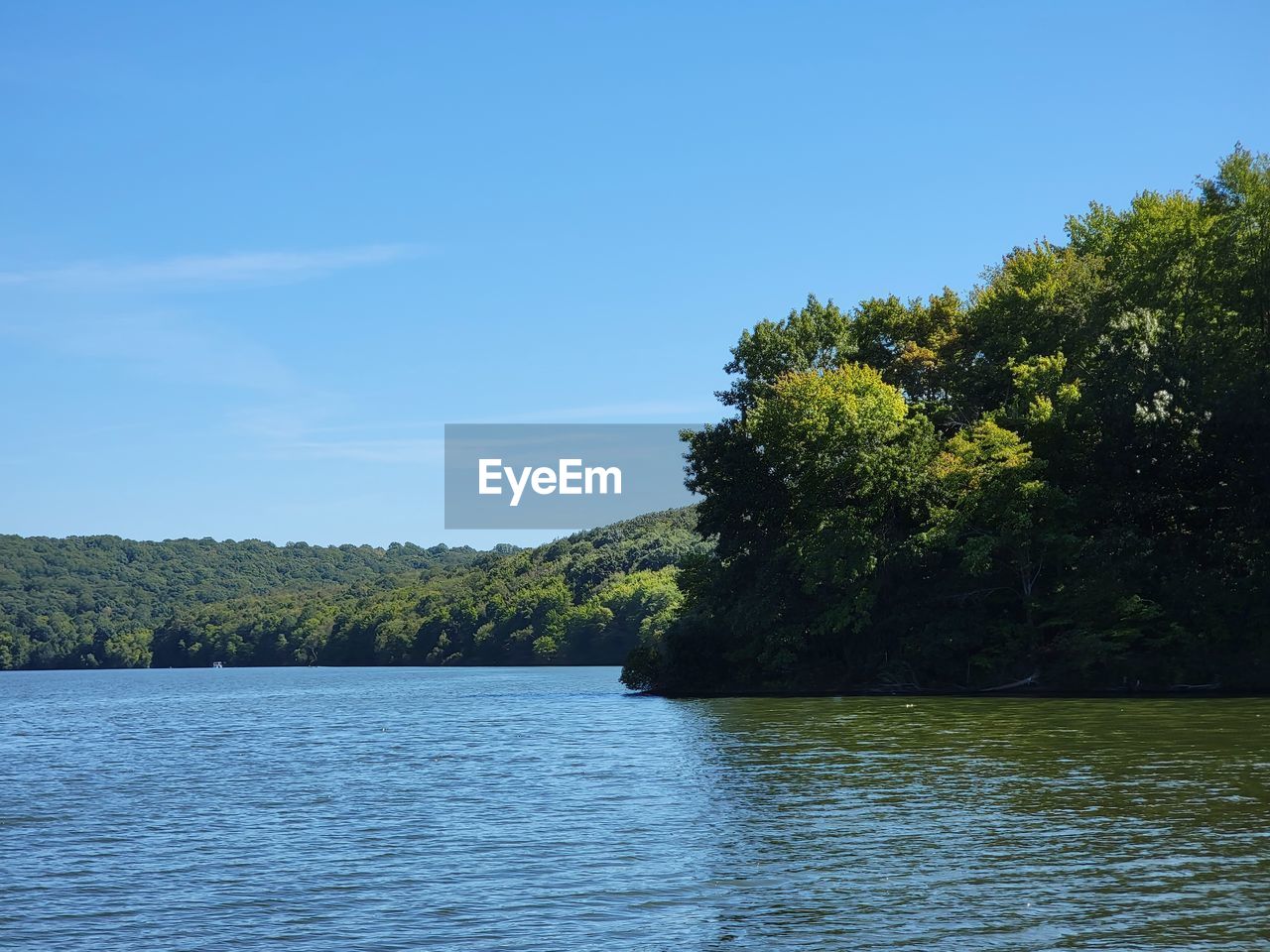 TREES BY LAKE AGAINST SKY