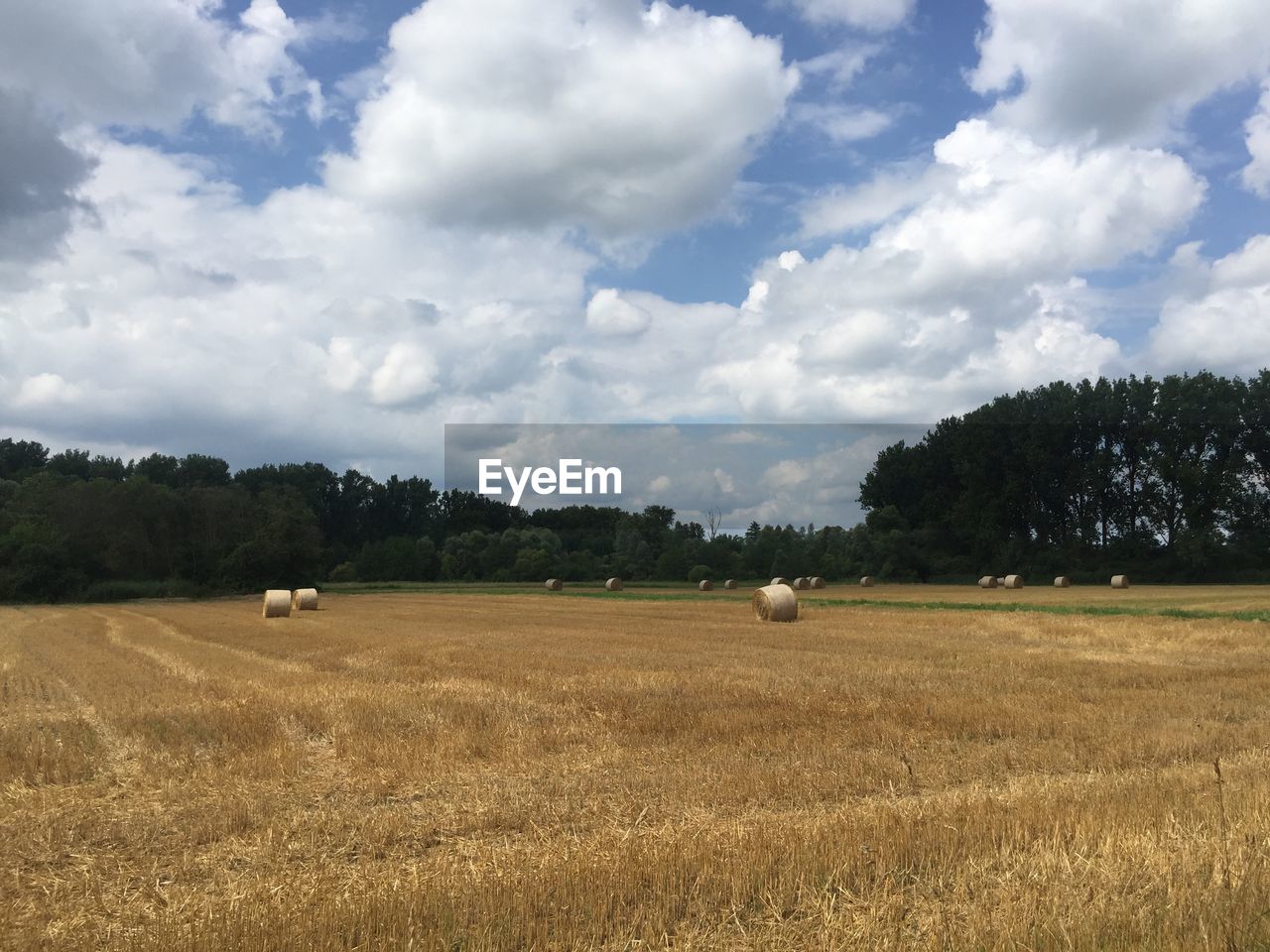 Hay bales on field against sky