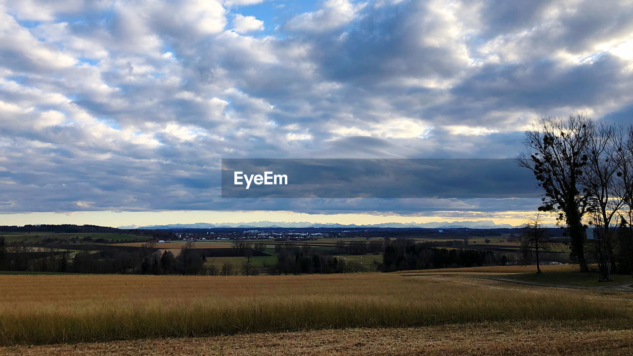FIELD AGAINST SKY