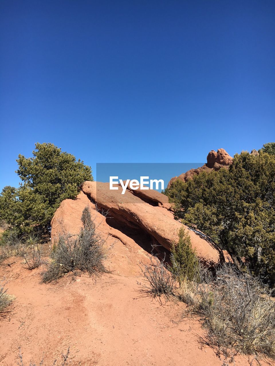 TREES GROWING ON ROCK AGAINST SKY