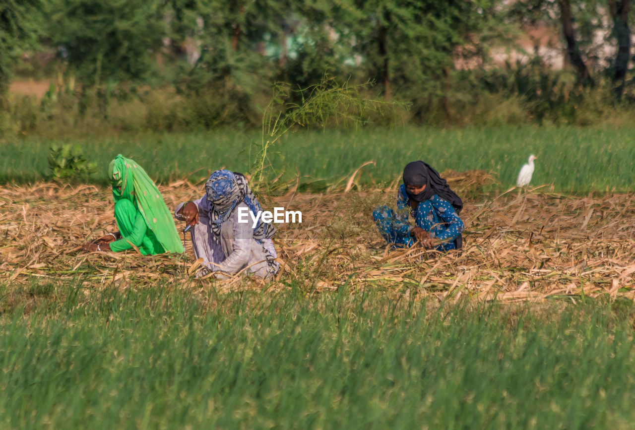 REAR VIEW OF WOMEN SITTING ON GRASS