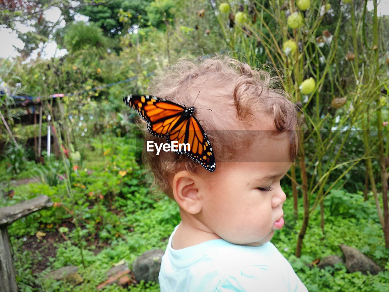 Close-up of cute baby girl with butterfly on head