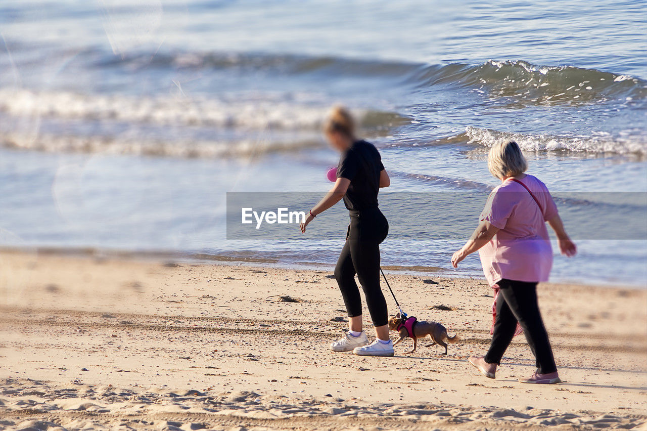 beach, land, water, sea, sand, body of water, motion, togetherness, shore, women, child, full length, nature, leisure activity, female, childhood, family, two people, ocean, coast, dog, lifestyles, adult, vacation, holiday, sports, day, walking, trip, rear view, men, bonding, running, wave, canine, casual clothing, parent, person, one parent, sunlight, outdoors, animal, pet, beauty in nature, positive emotion, sky, emotion, domestic animals, friendship, summer, animal themes