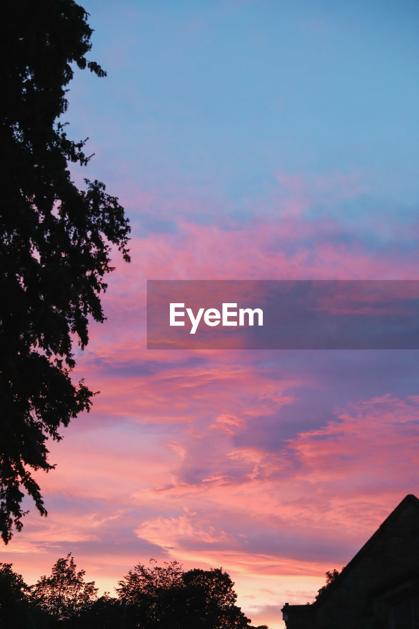 LOW ANGLE VIEW OF SILHOUETTE TREES AGAINST ORANGE SKY