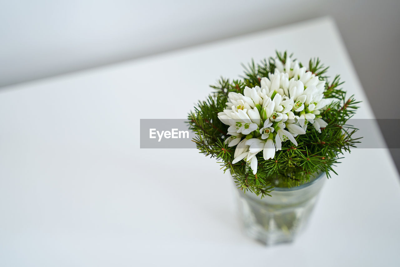 plant, flower, flowering plant, freshness, nature, green, indoors, white, floral design, flower arrangement, floristry, no people, bouquet, beauty in nature, flower head, close-up, vase, copy space, cut flowers, fragility, arrangement, studio shot, table, yellow, bunch of flowers, still life