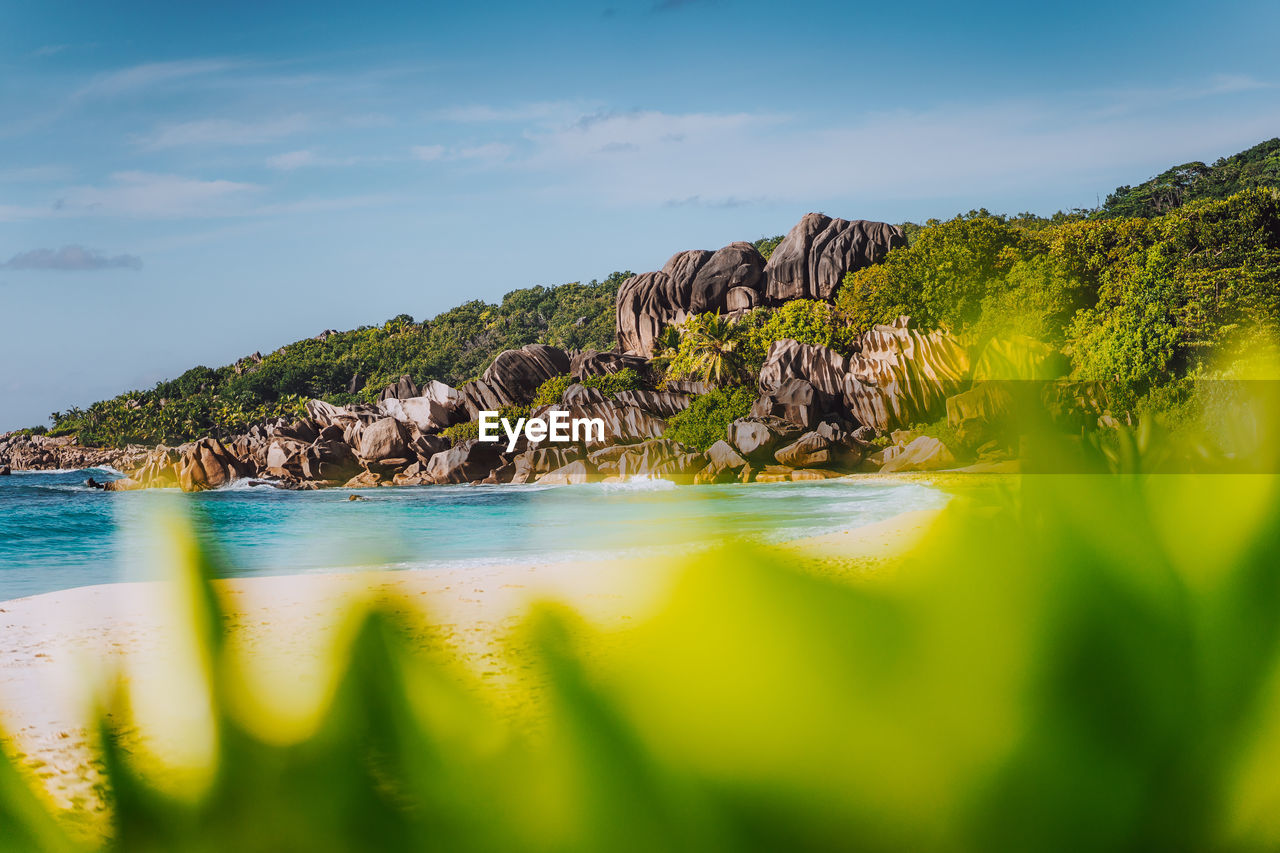 SCENIC VIEW OF SEA AGAINST ROCKS