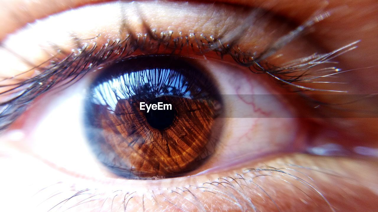 EXTREME CLOSE-UP OF PERSON EYE