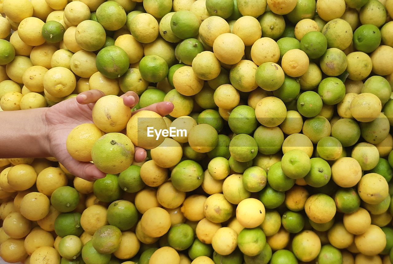 Full frame shot of green and yellow lemon