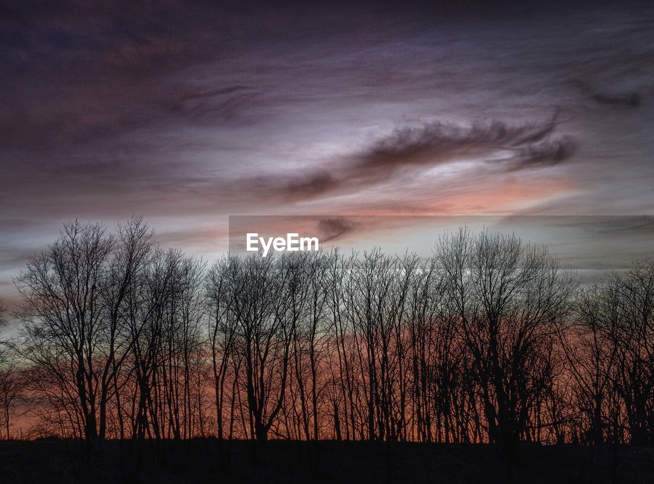 Silhouette of trees against cloudy sky