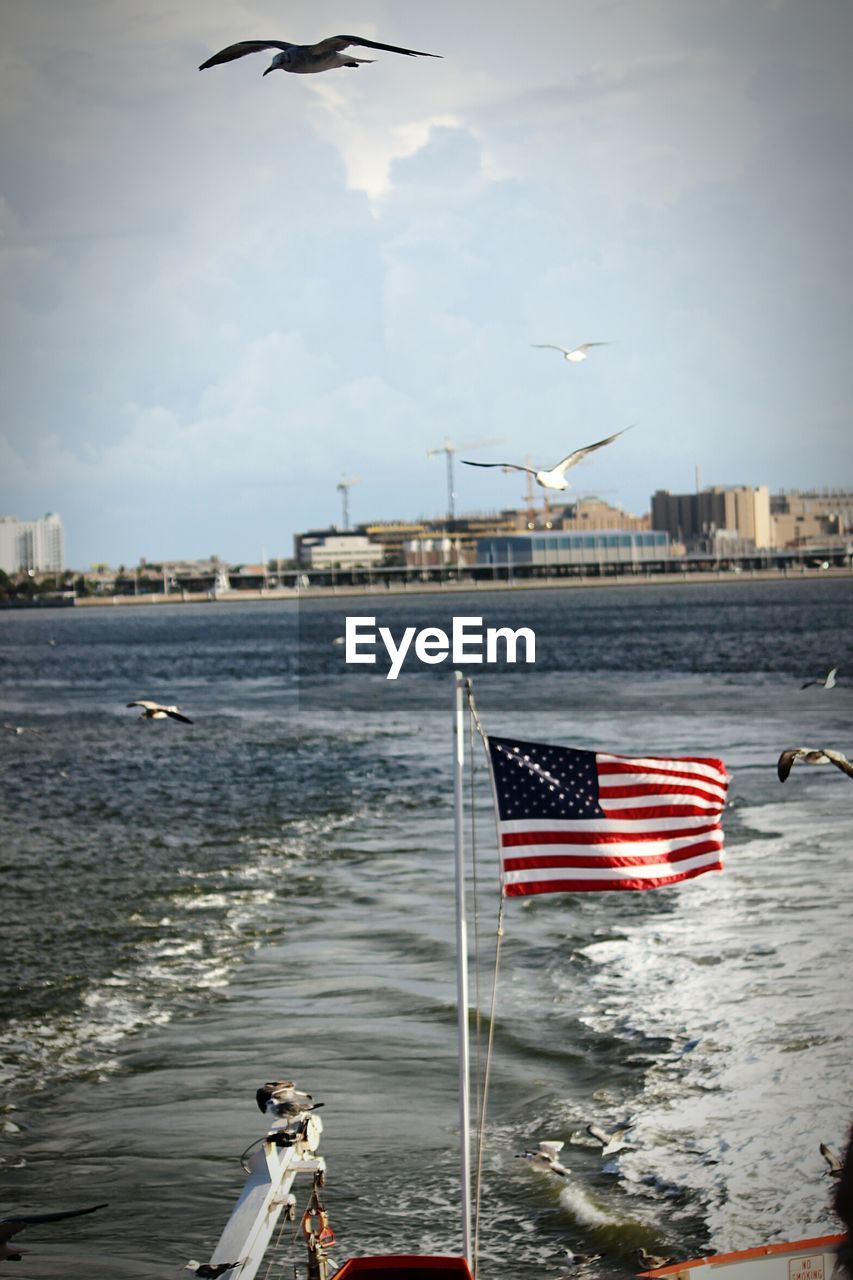 Birds flying over flag in river against sky