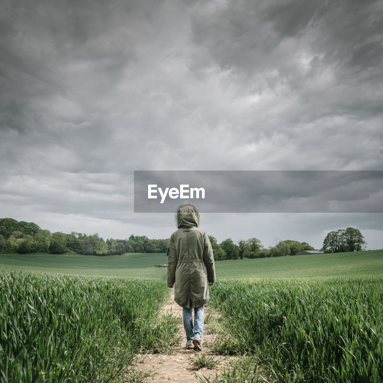 Rear view of a woman wearing a parka coat walking along a track in a wheat field with a stormy sky.