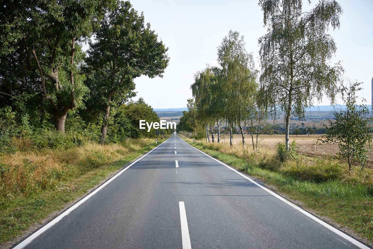 Empty road amidst trees on field