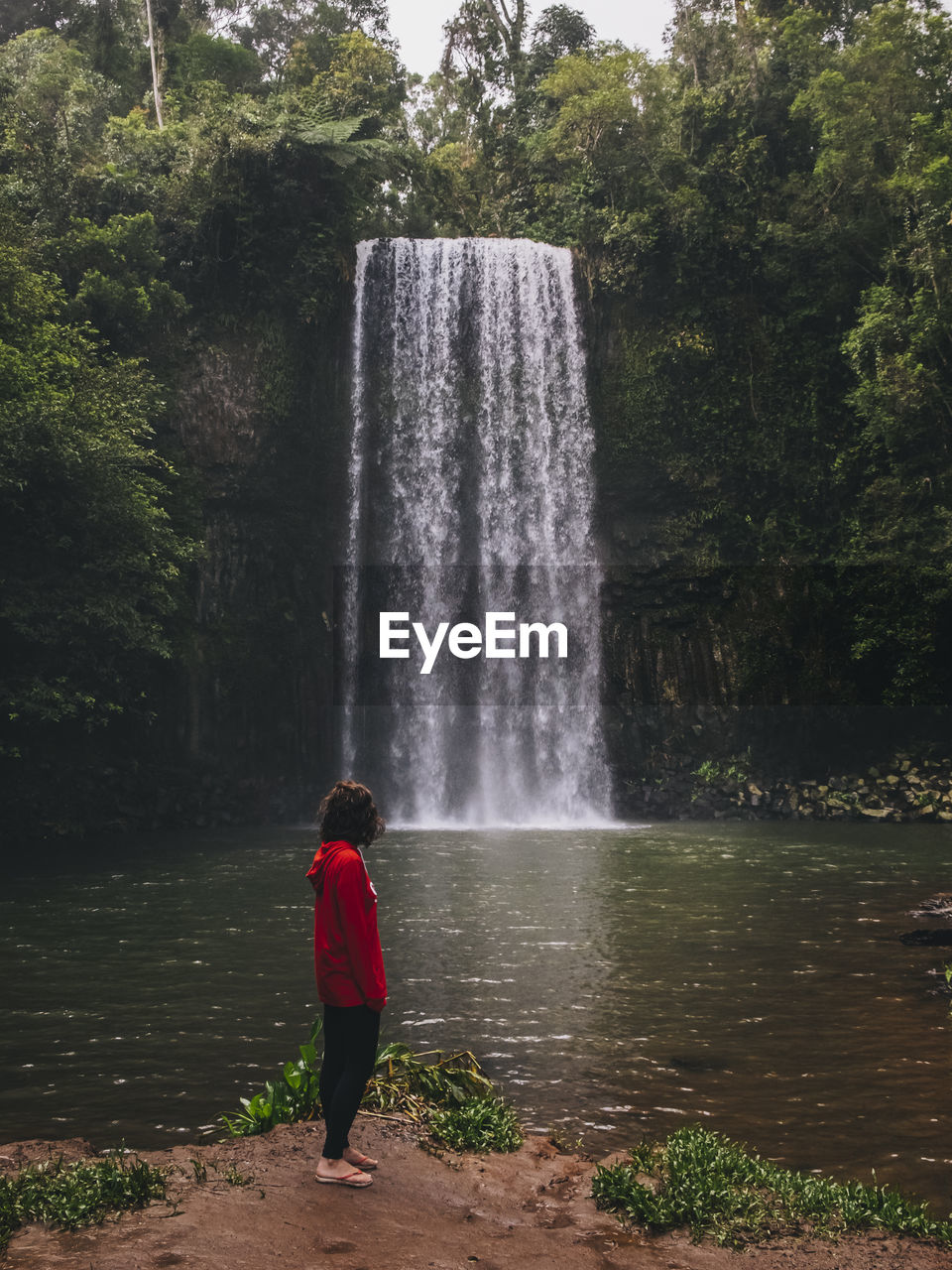 Rearview of a young woman looking at the waterfall while standing, millaa milaa falls, tropical queensland, australia.