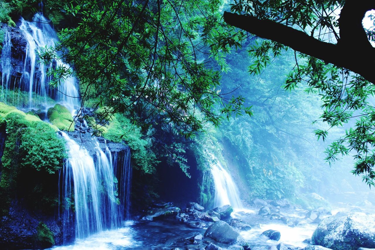 WATERFALL IN FOREST
