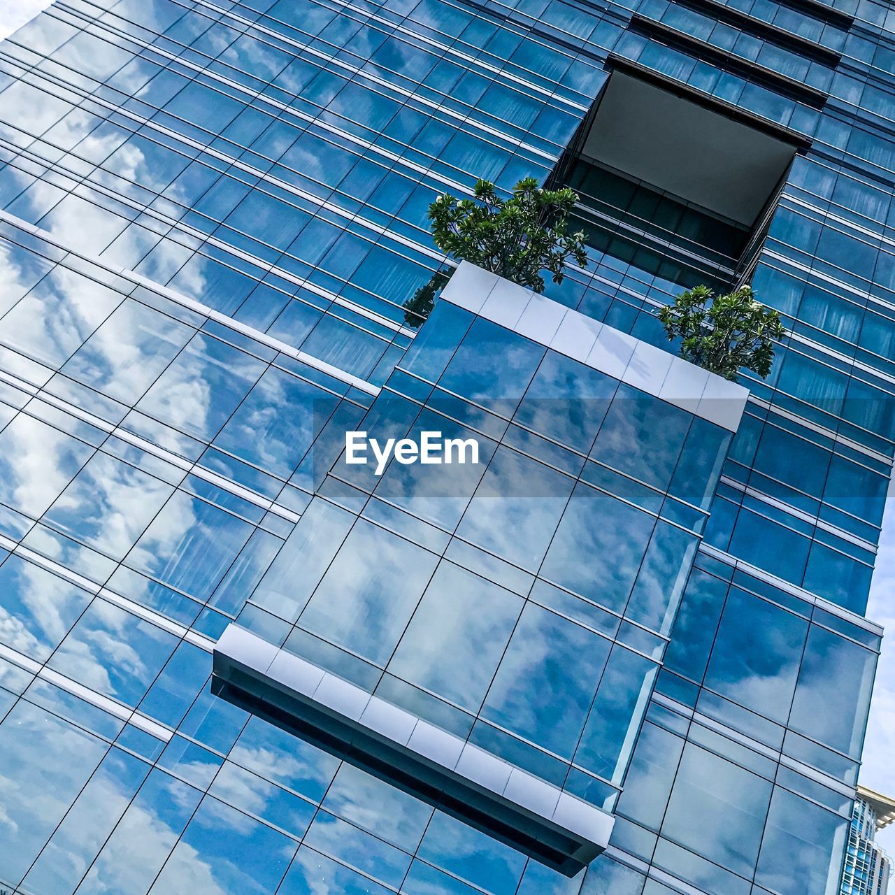 LOW ANGLE VIEW OF MODERN GLASS BUILDING