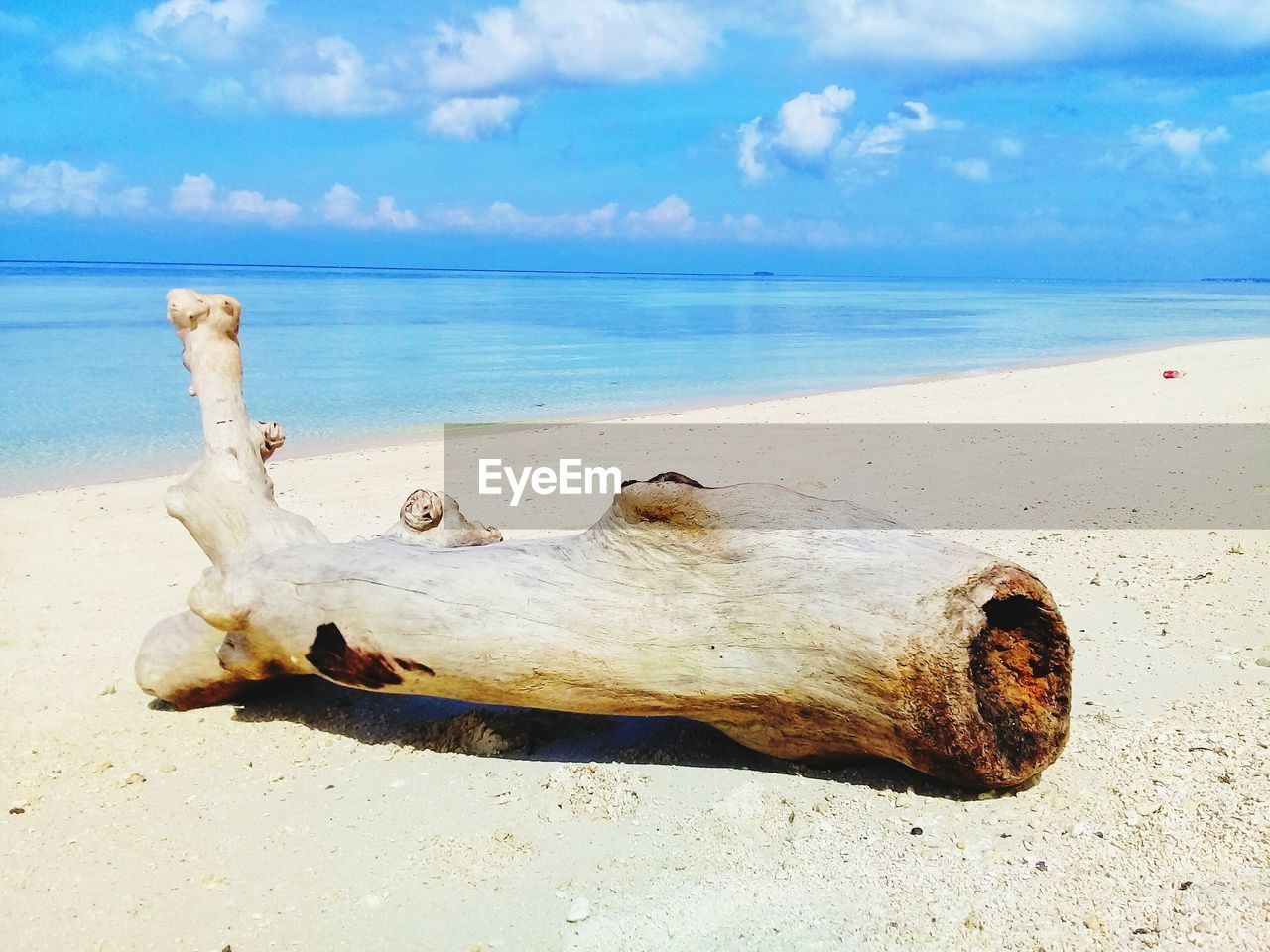 LIZARD ON BEACH AGAINST SKY