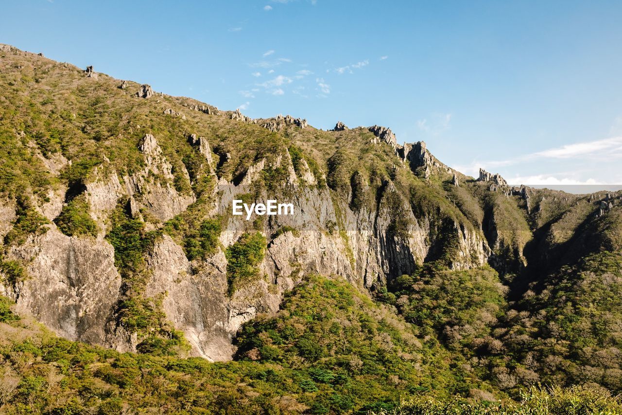 Panoramic view of trees on mountain against sky