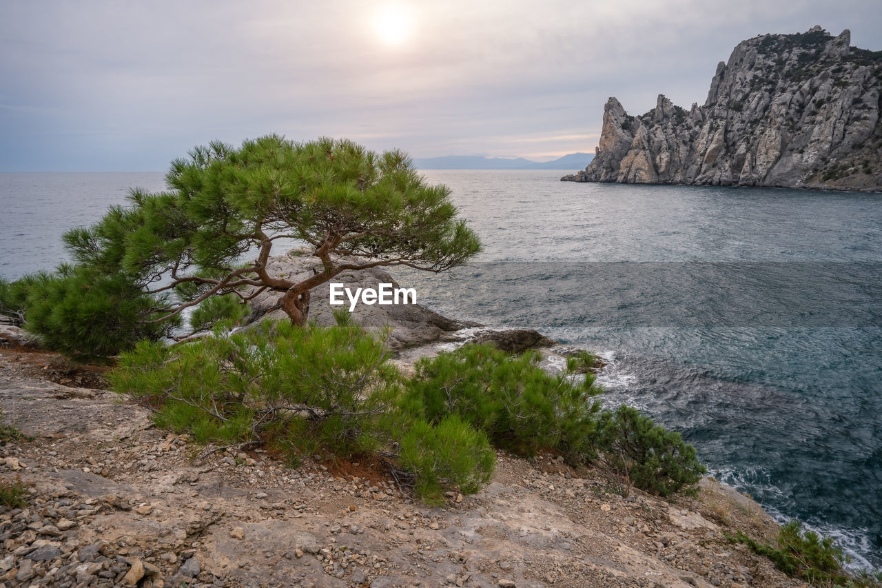 Crimea, novy svet, mountain karaul-oba at sunset