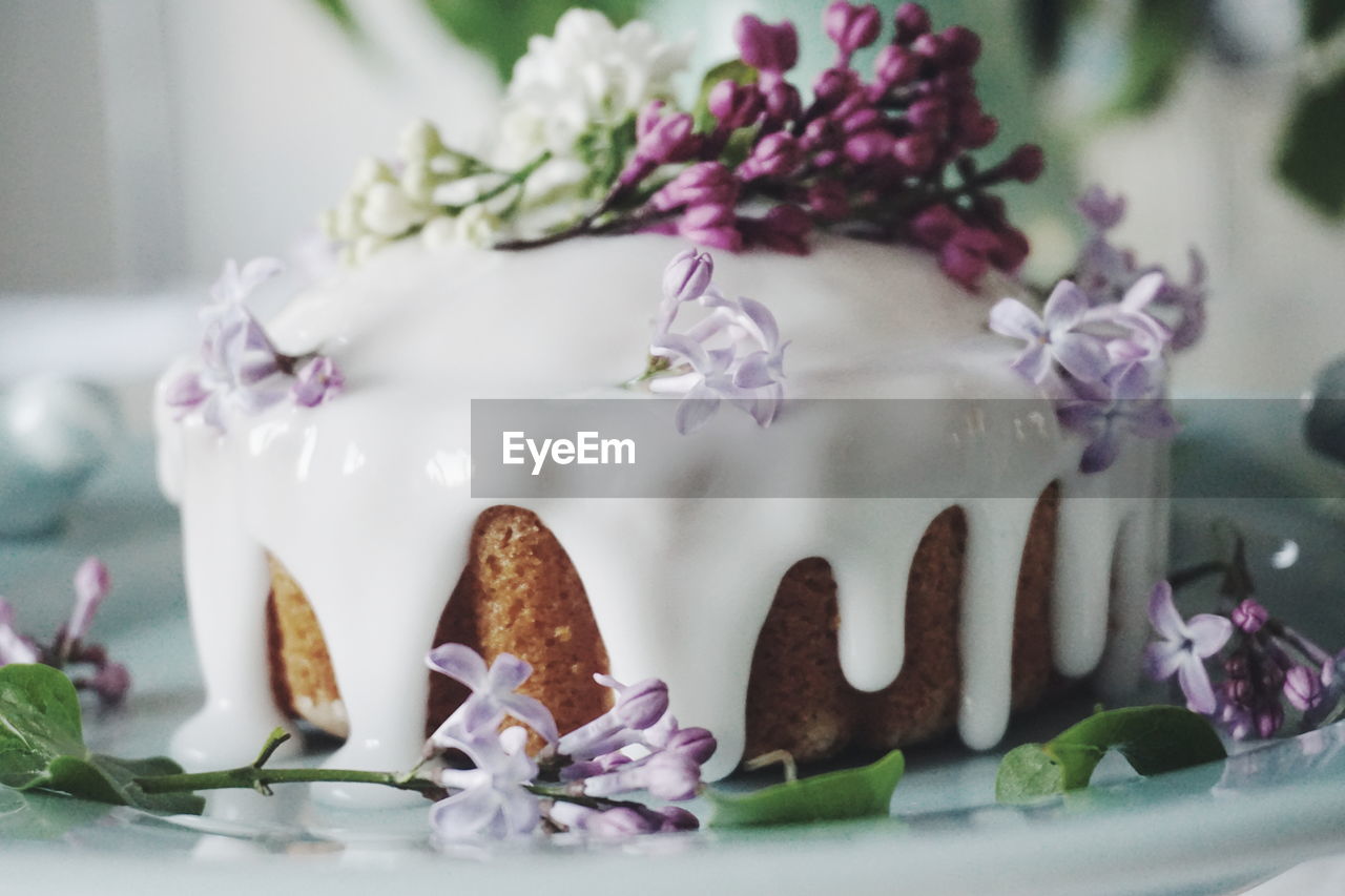 Close-up of purple flowers on cake