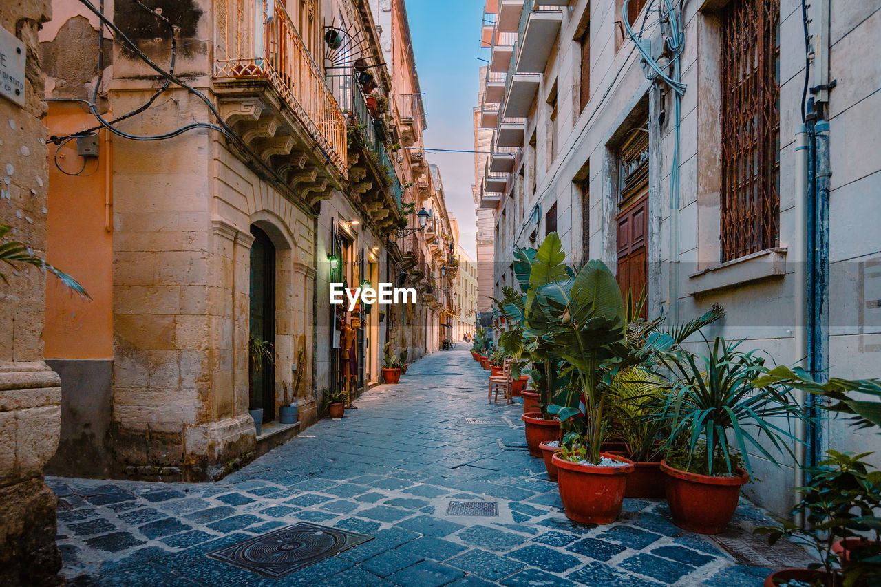 Characteristic alleyway with plants in the historic centre of ortigia, syracuse