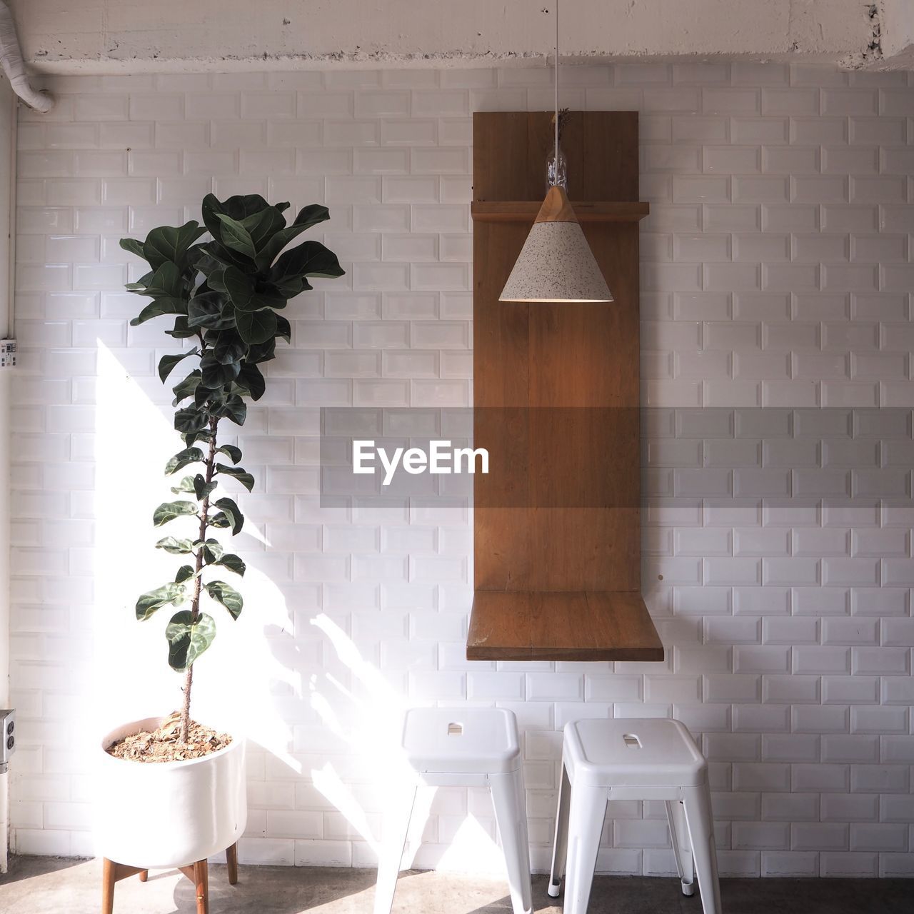 POTTED PLANTS ON WALL AT HOME