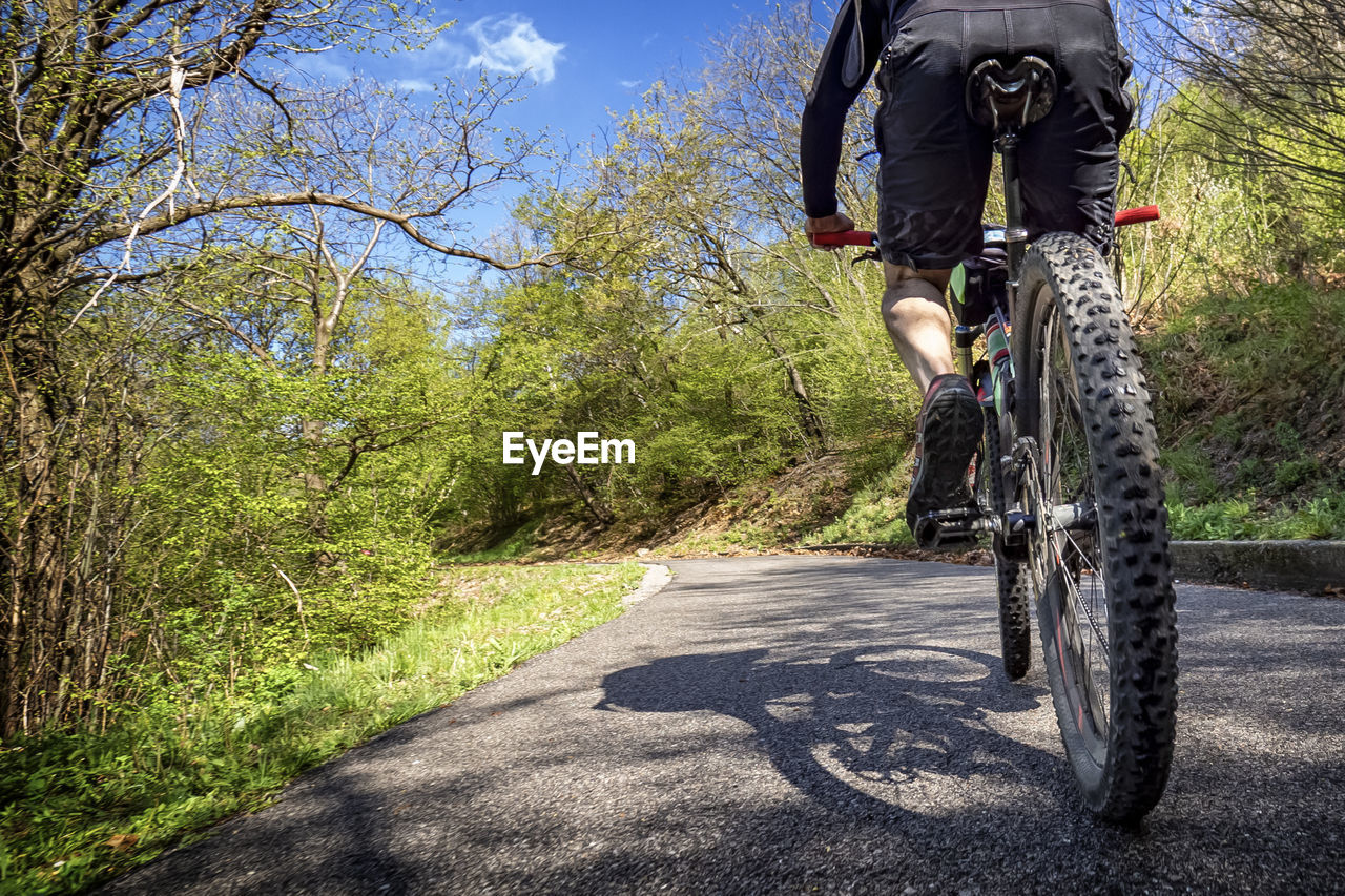 Cycling in a sunny morning