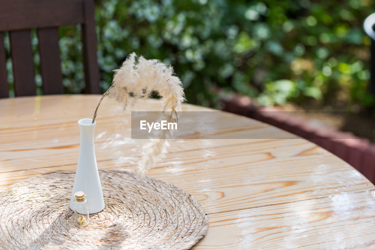 wood, focus on foreground, nature, table, day, no people, outdoors, plant, water, summer, close-up, food and drink, front or back yard