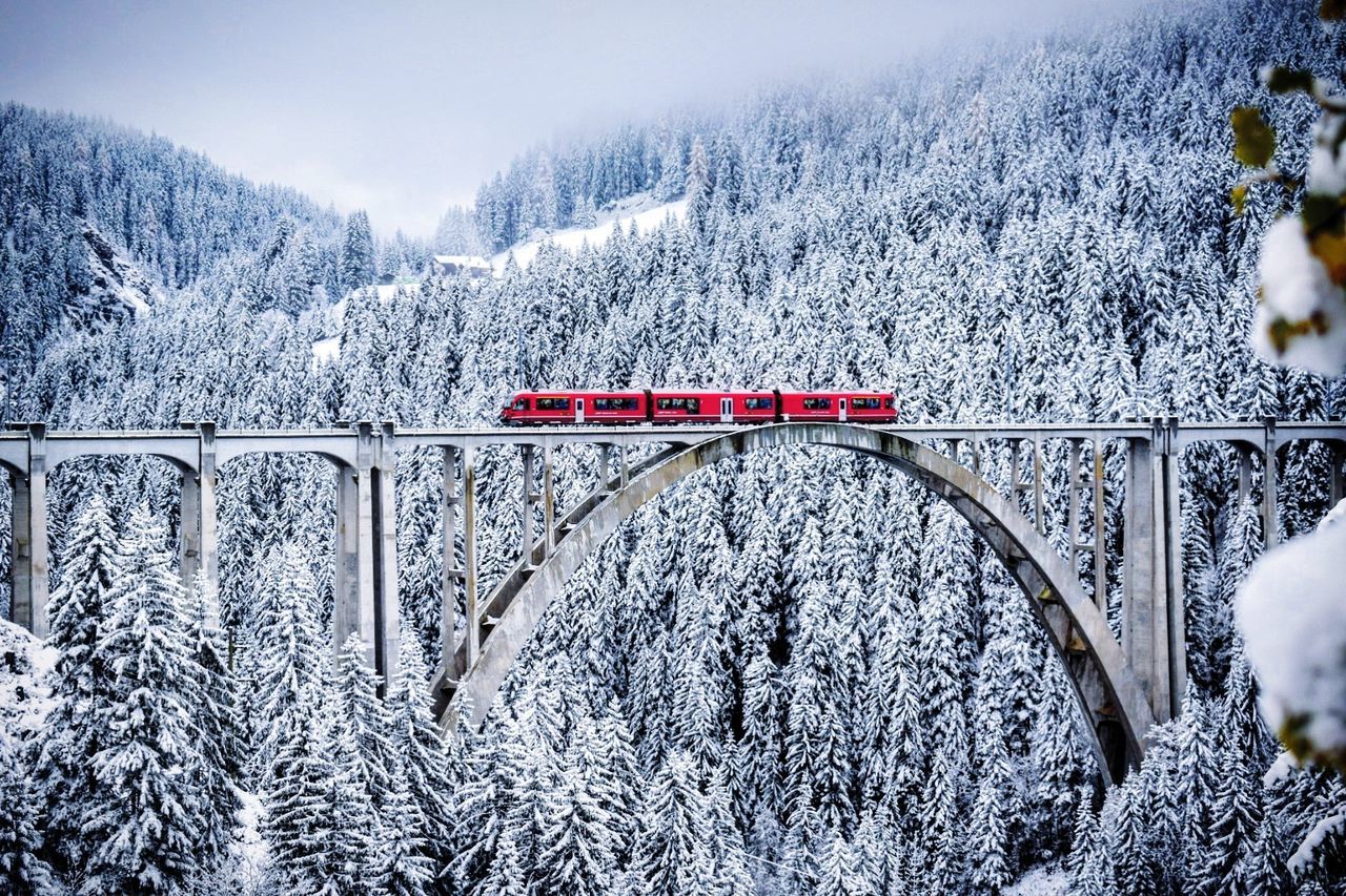 SNOW COVERED BRIDGE IN FOREST