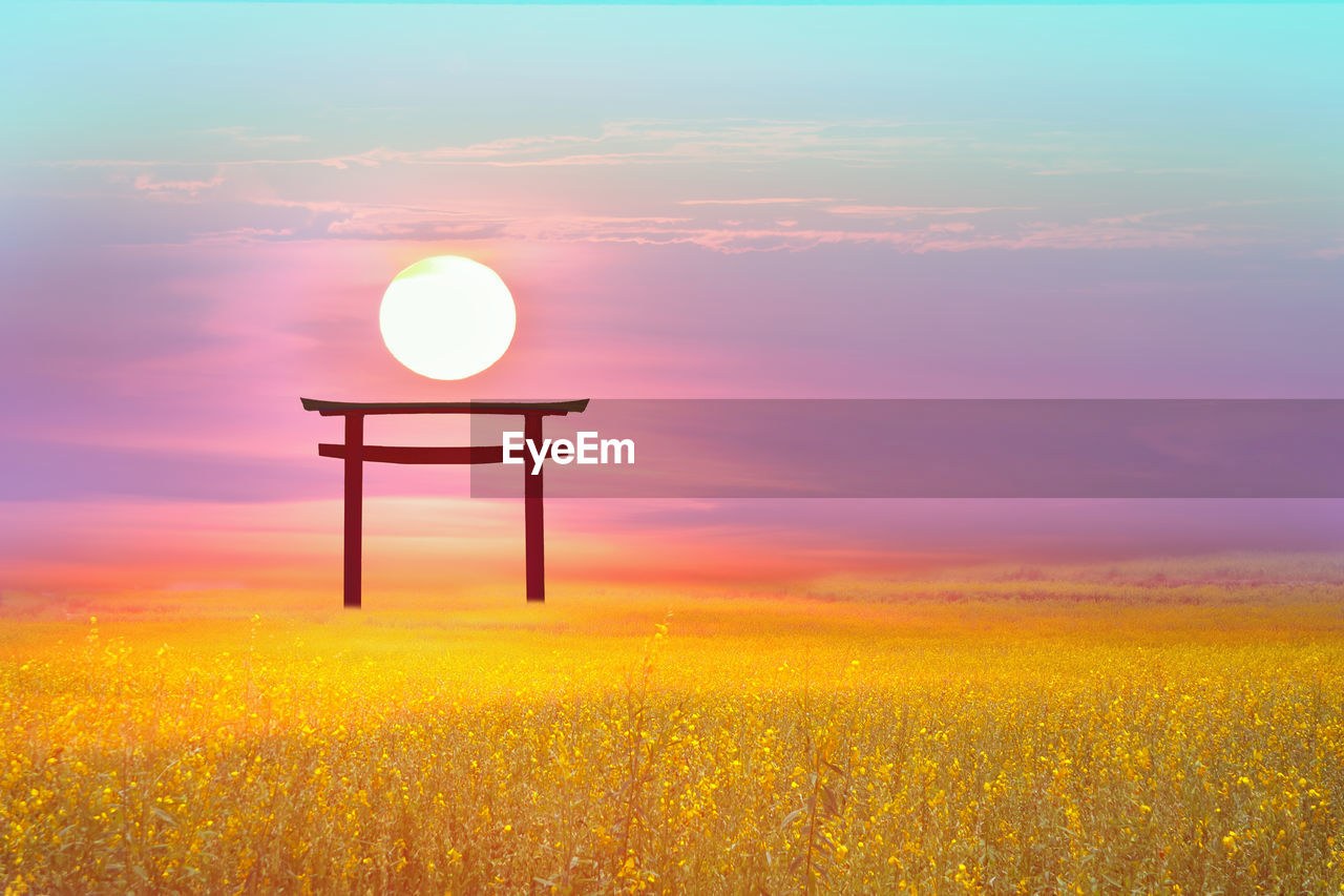 Scenic view of field against sky during sunset