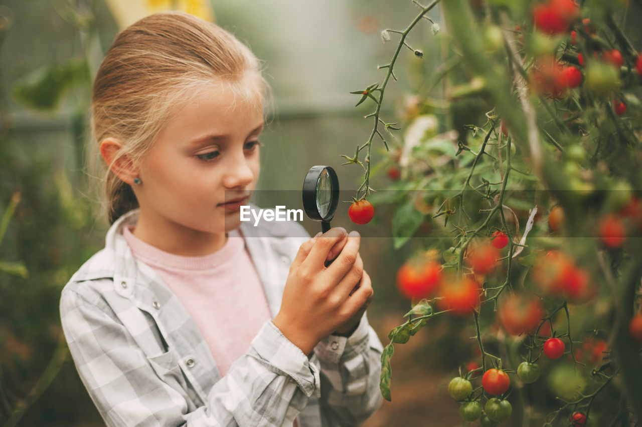 A beautiful little girl examines small cherry tomatoes through a magnifying glass.