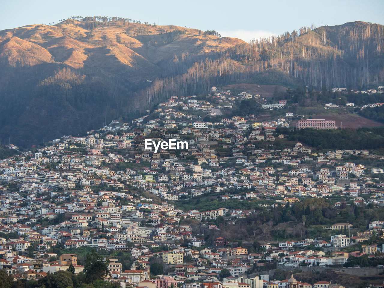 Funcha on the island of madeira