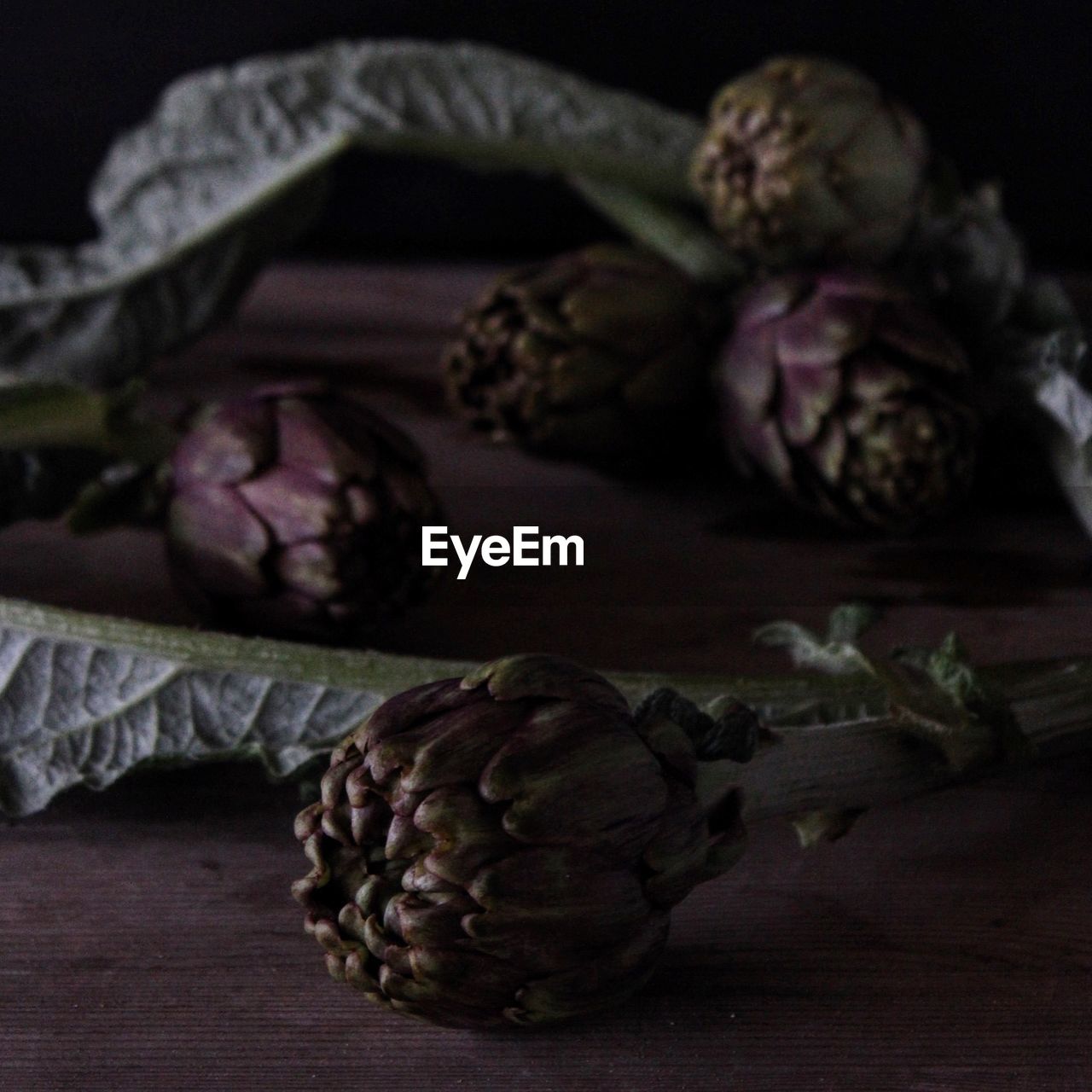 Close-up of food on table