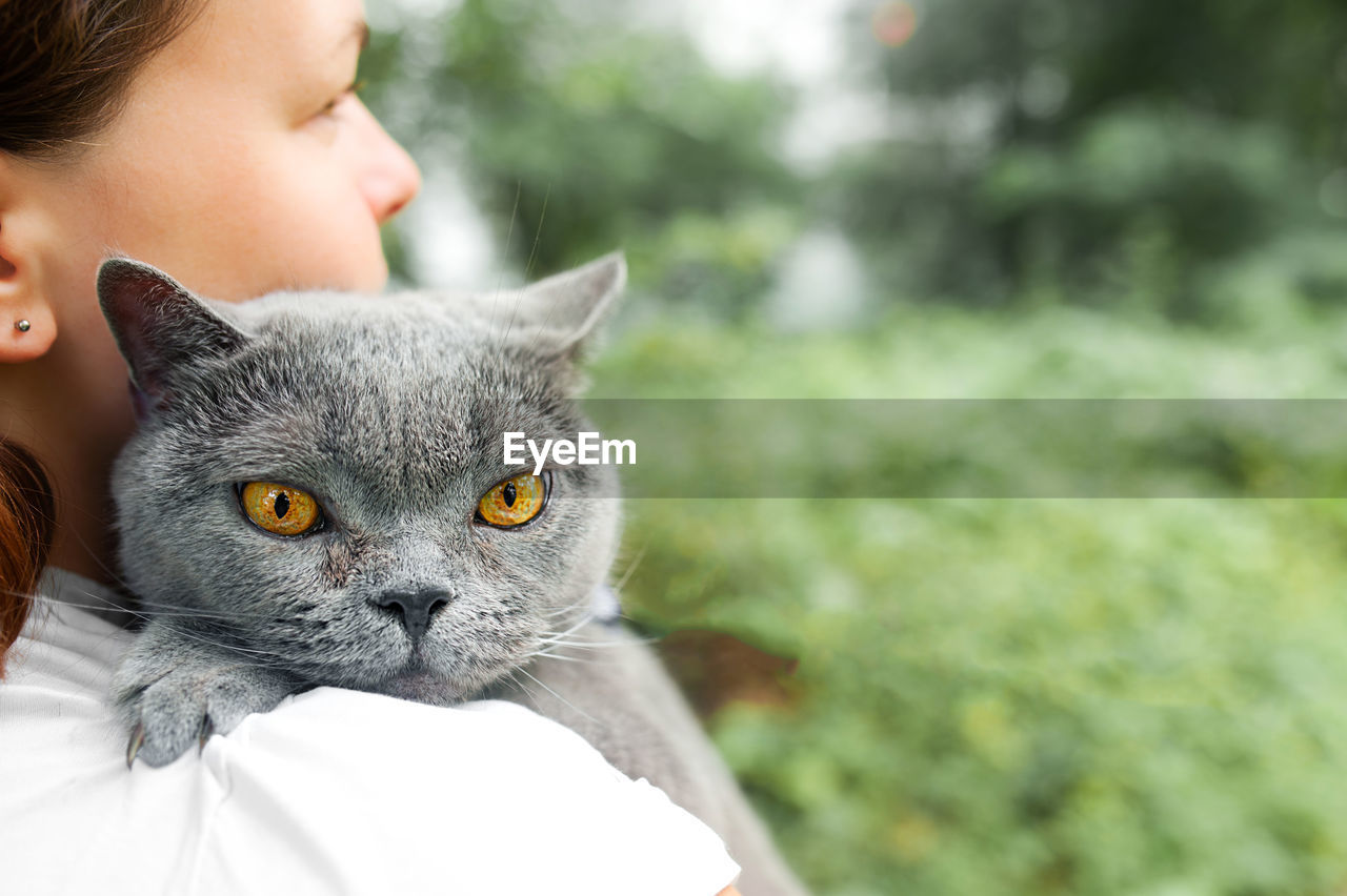 Woman holds and gently hugs her pet grey shorthair british cat on  street