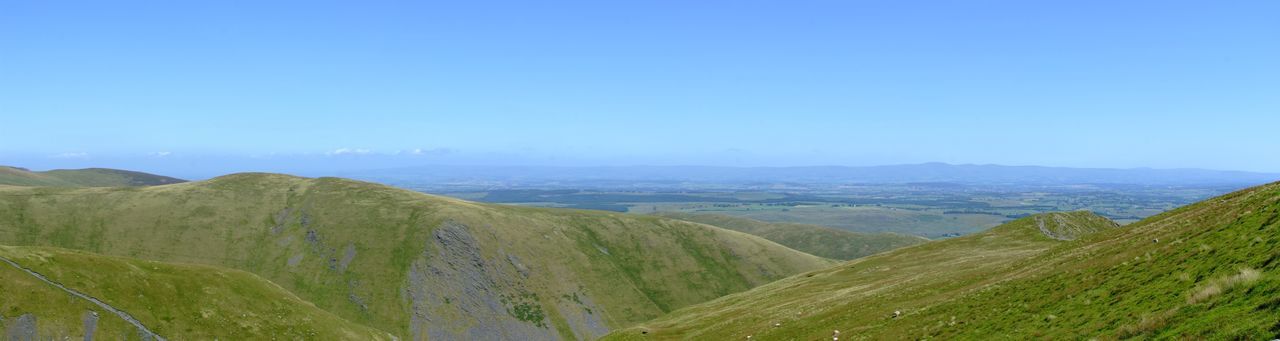 SCENIC VIEW OF GREEN LANDSCAPE AGAINST CLEAR SKY