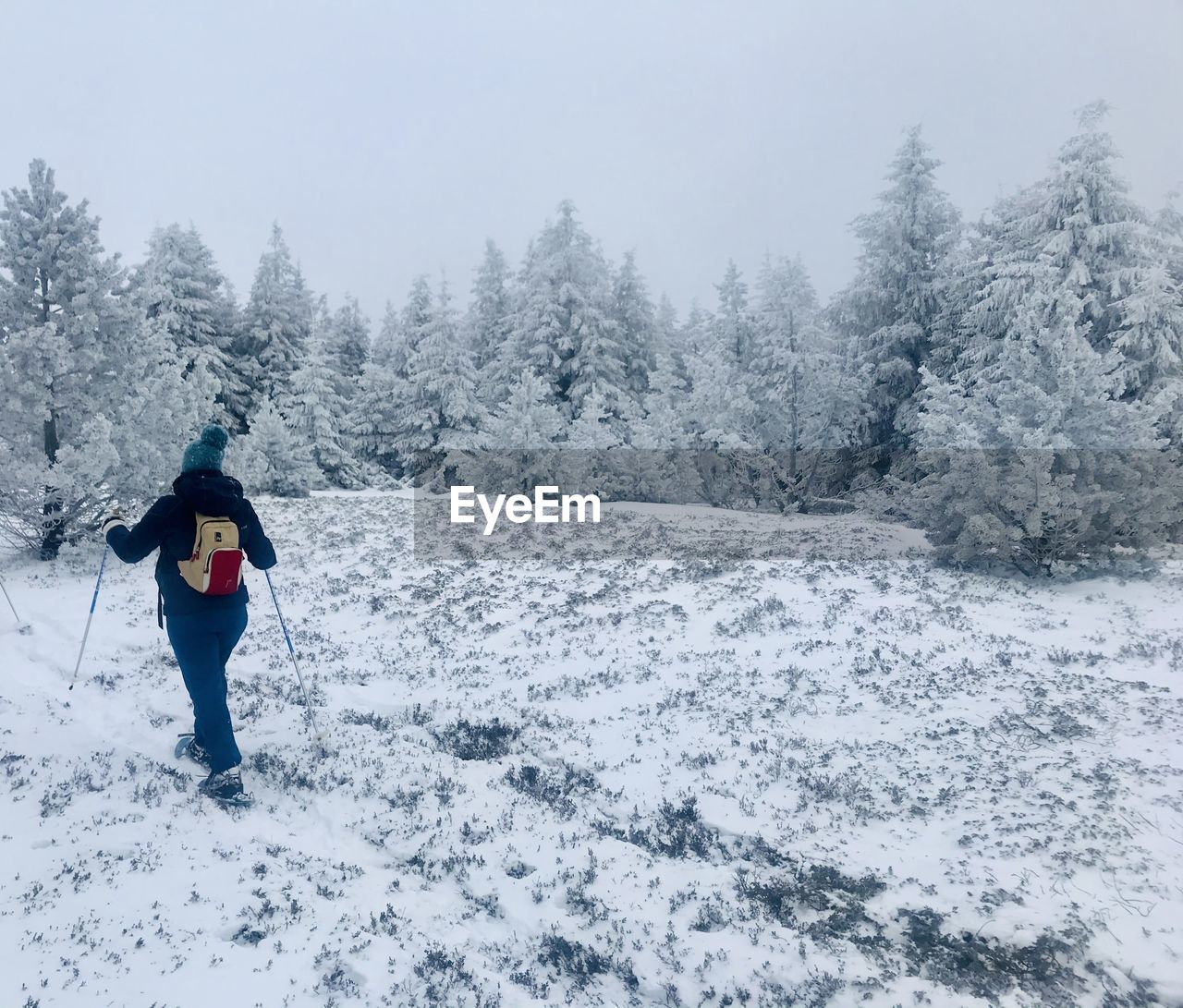 Person snowshoeing on snow covered land