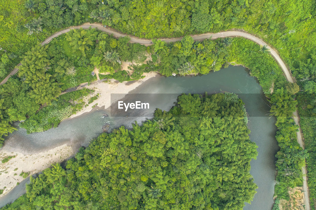 High angle view of plants growing on land