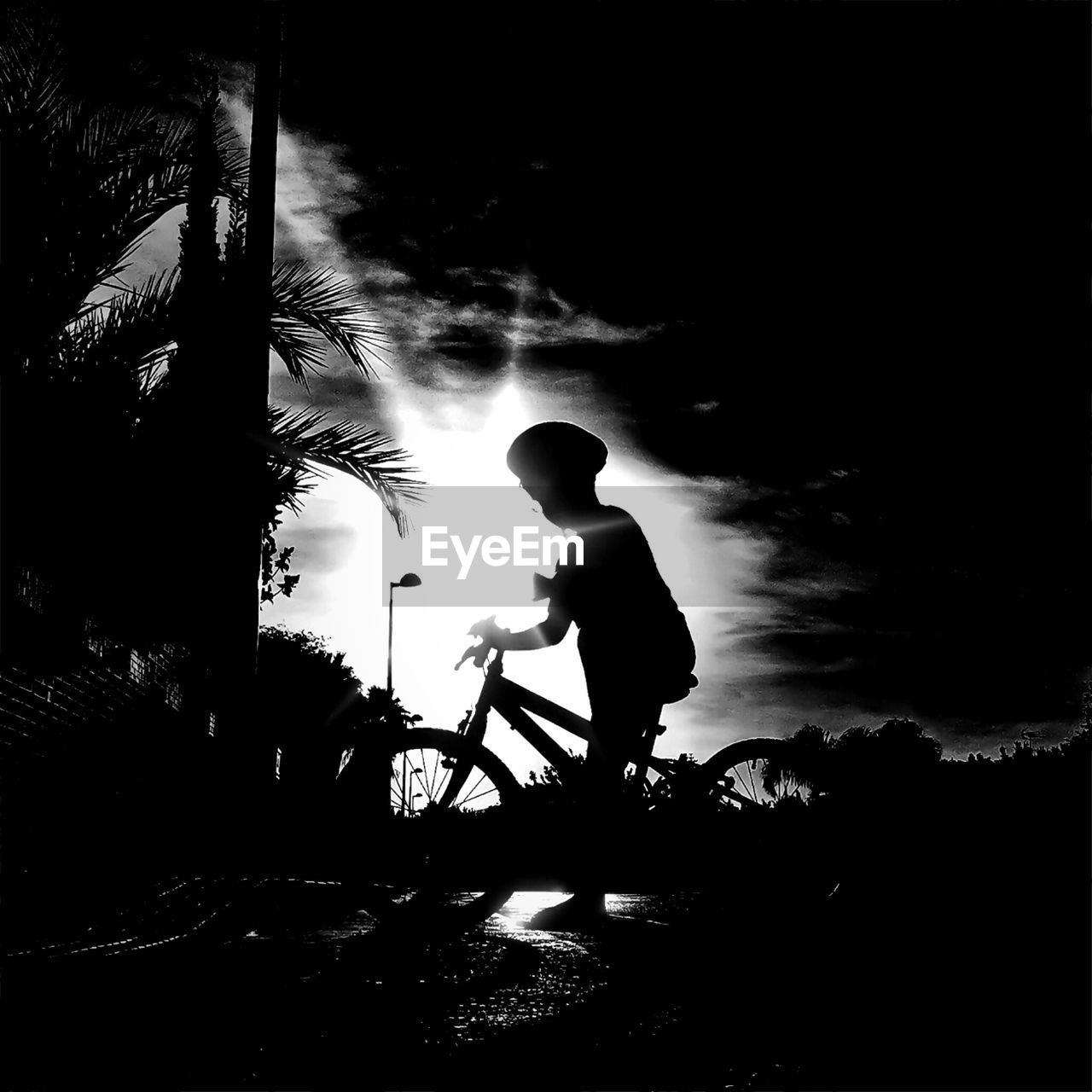 Silhouette boy riding bicycle on street against sky on sunny day