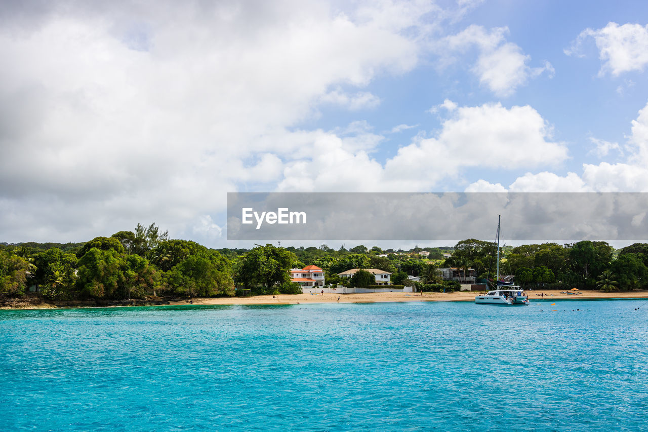 SCENIC VIEW OF SEA AGAINST TREES