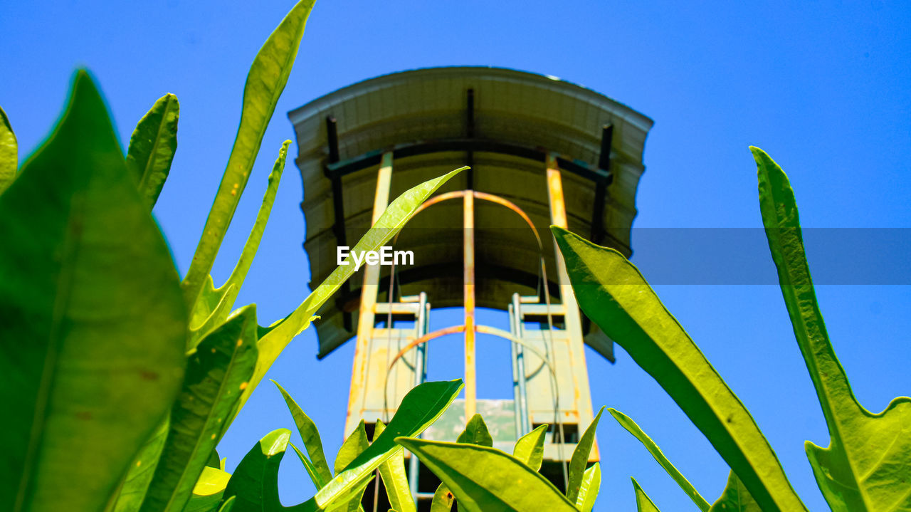 LOW ANGLE VIEW OF PLANT AGAINST SKY