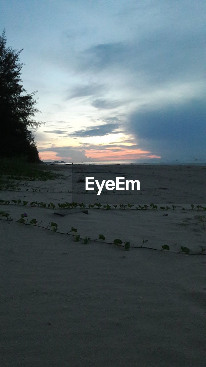 SCENIC VIEW OF BEACH DURING SUNSET