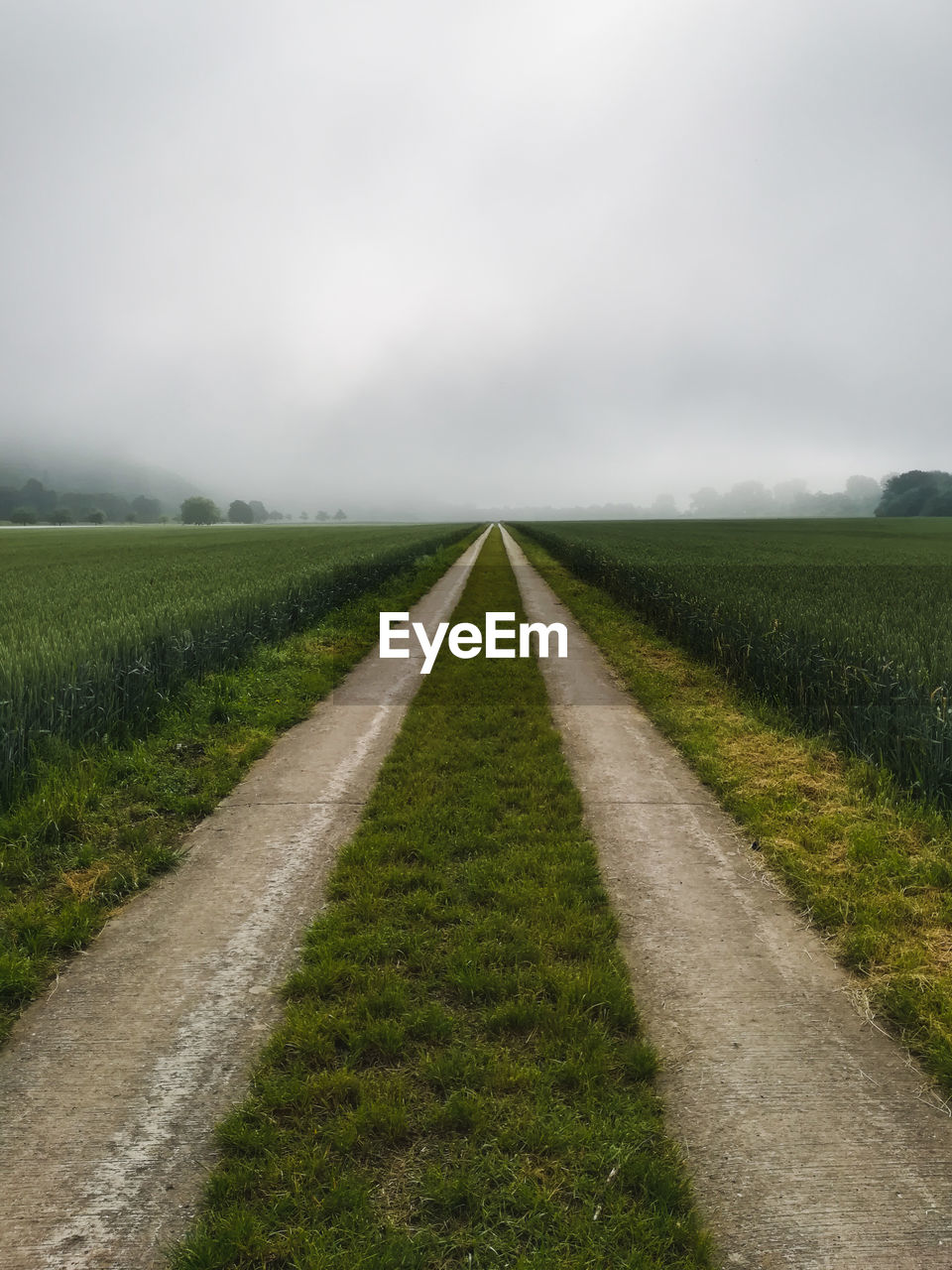 Empty road amidst field against sky