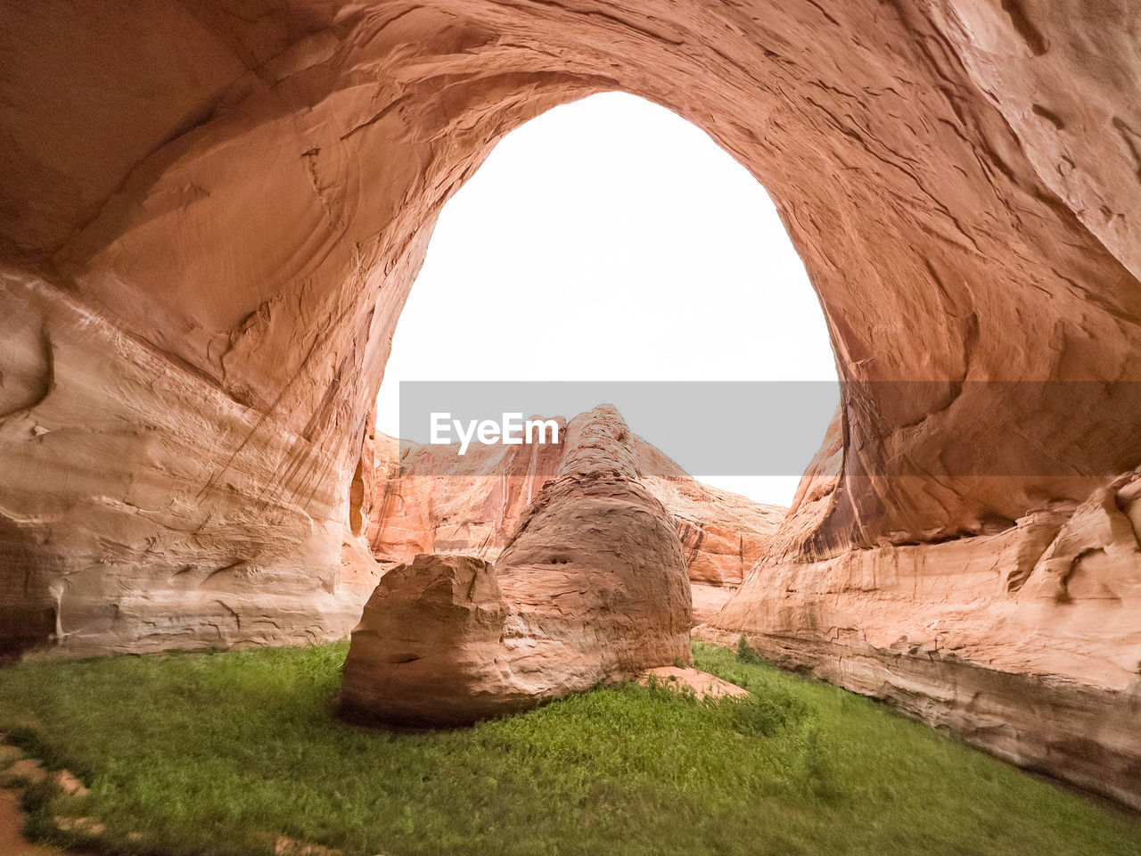 Rock cliff outcropping in lush desert cave with vegetation