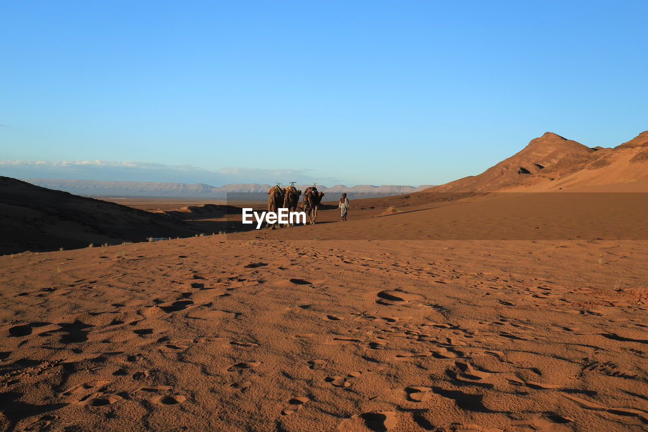 View of a desert