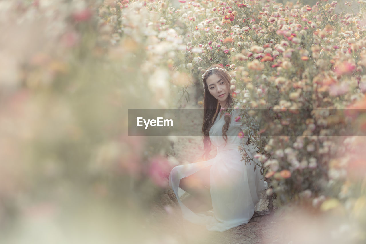 Woman standing by pink flowering tree