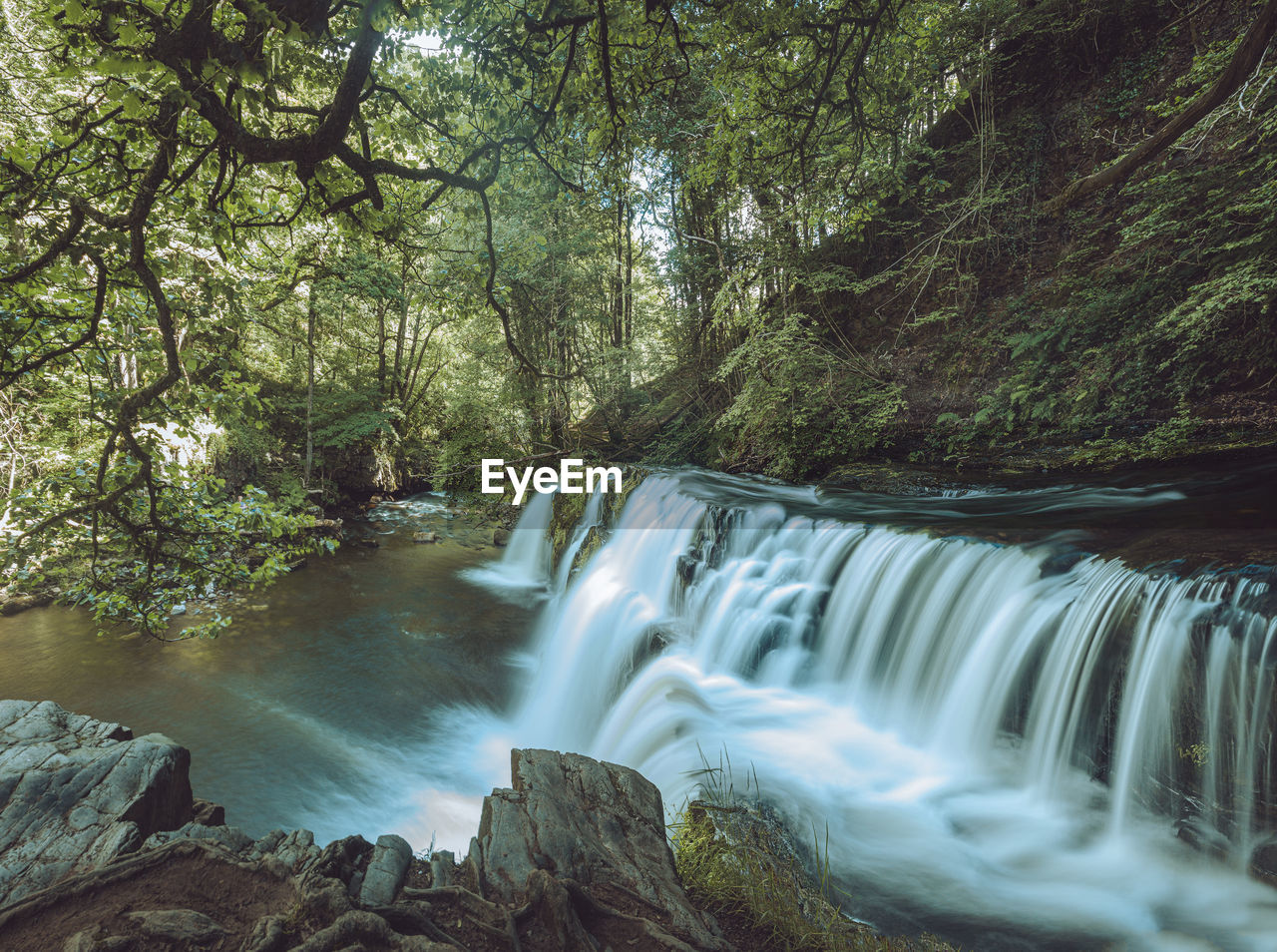 Scenic view of waterfall in forest