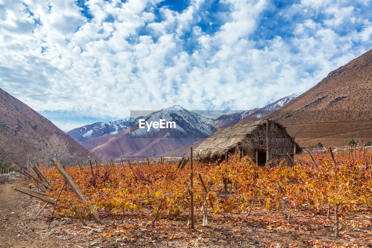 Hut in dry vineyard by mountains against sky during autumn