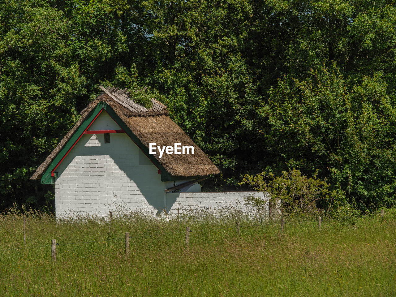 HOUSE ON FIELD BY TREES