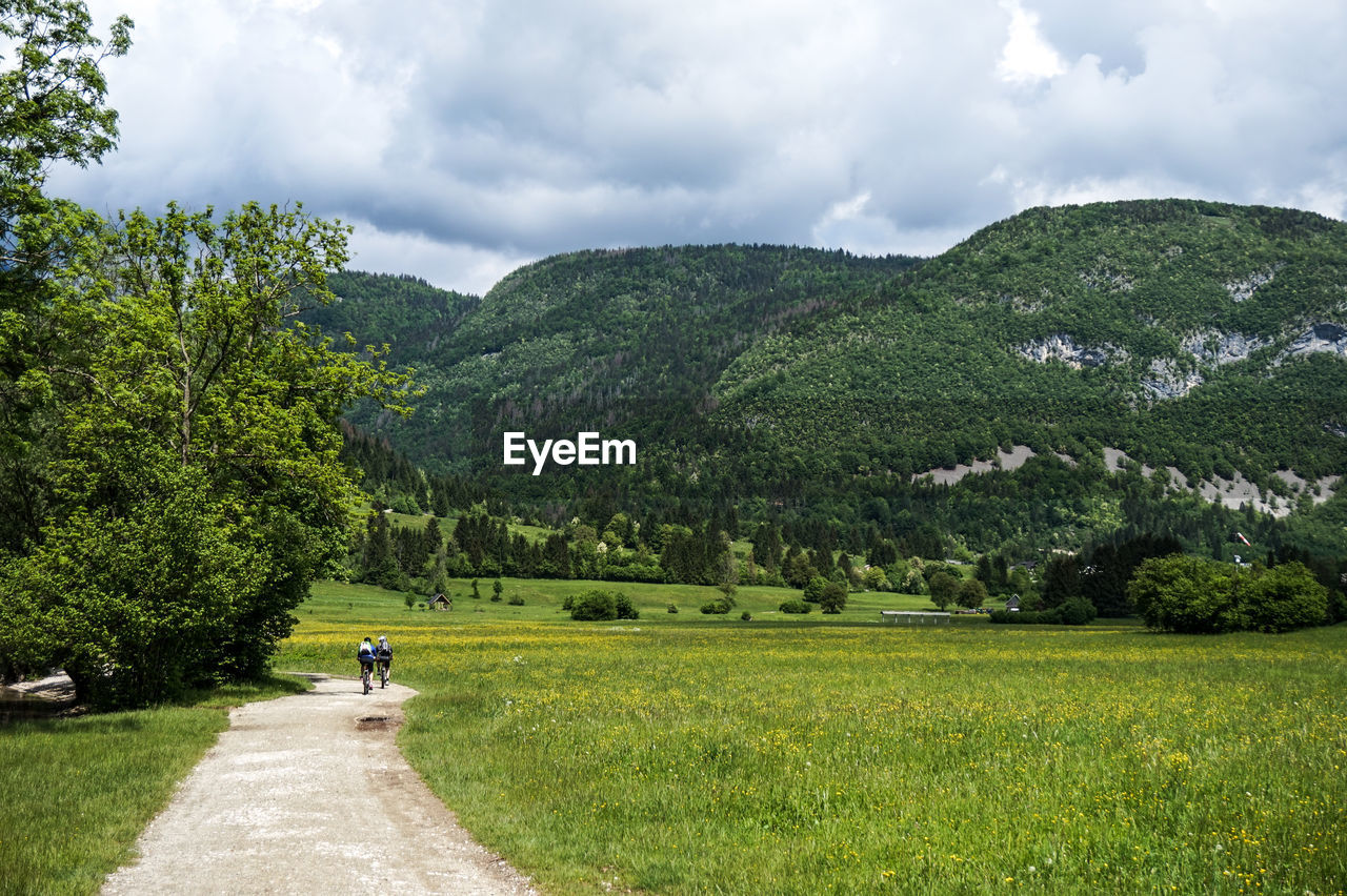 SCENIC VIEW OF GREEN LANDSCAPE AND MOUNTAINS AGAINST SKY