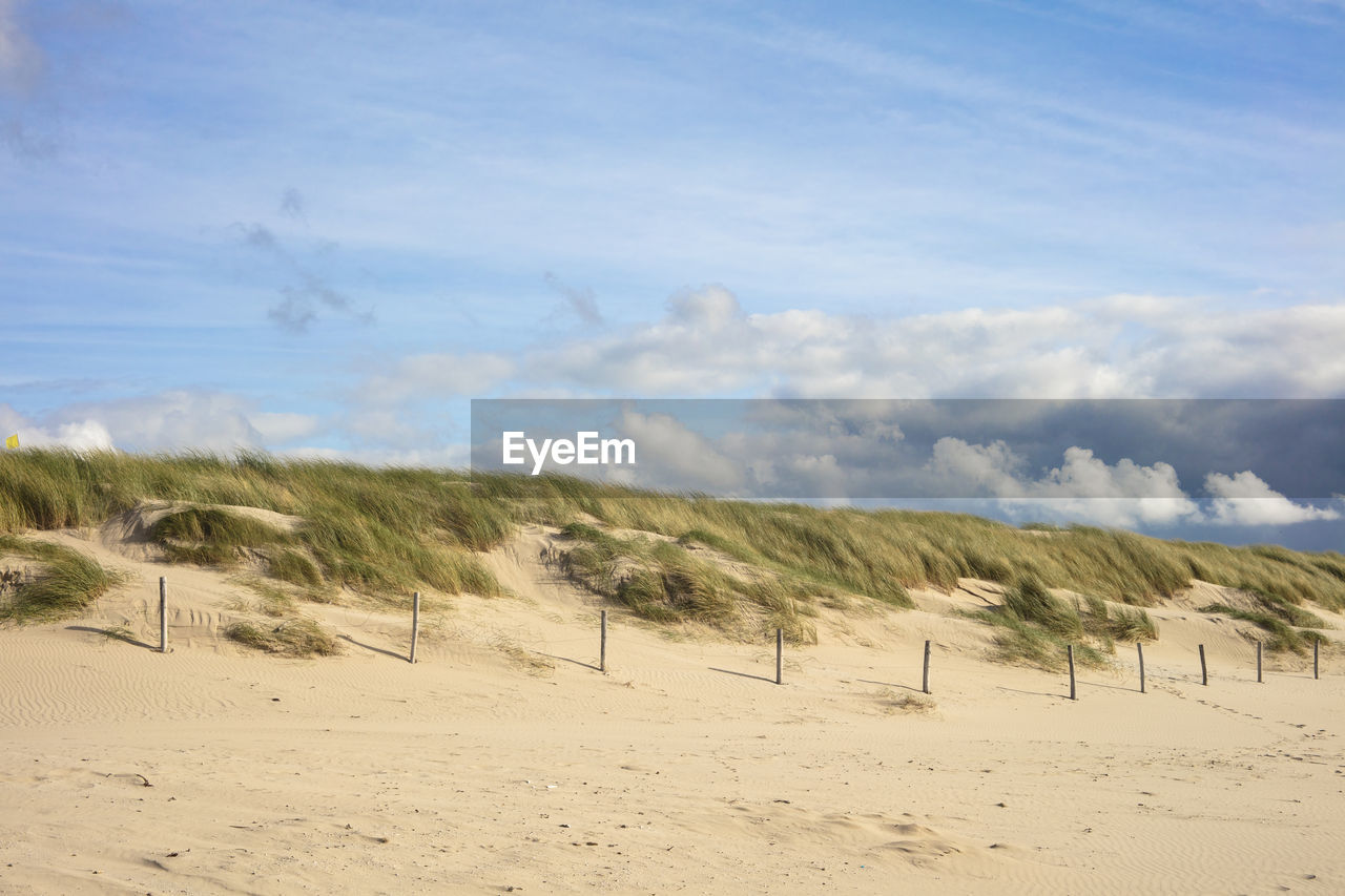 SCENIC VIEW OF SAND DUNE ON BEACH AGAINST SKY