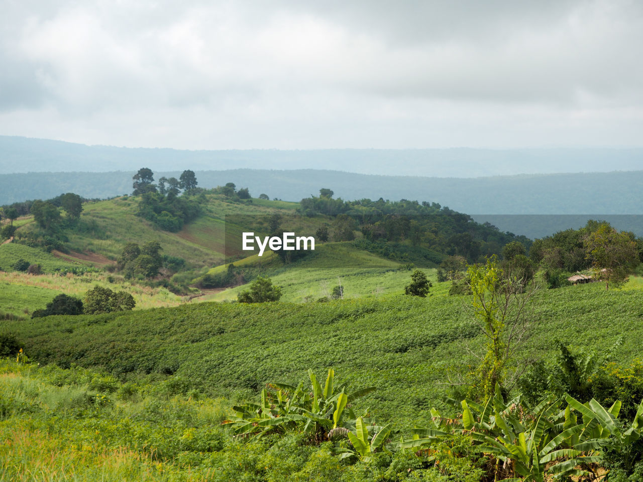 SCENIC VIEW OF FIELDS AGAINST CLOUDY SKY